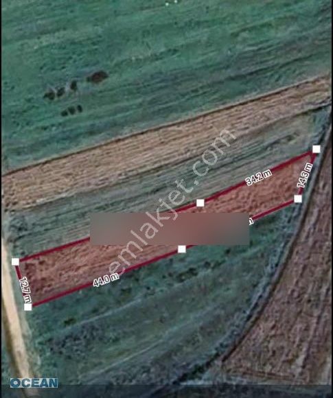 Kandıra Tekzende Resmi Yollu Satılık Tarla - Görsel 3