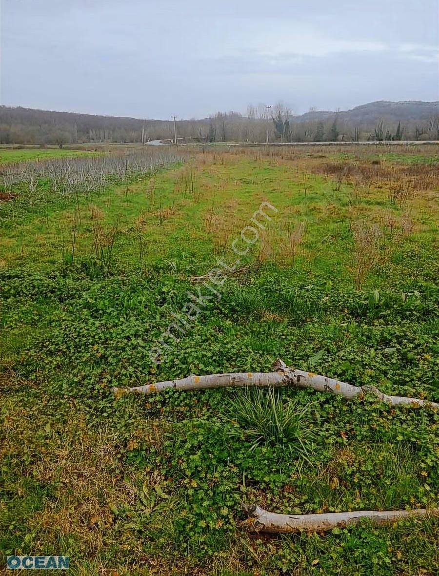 Kandıra Tekzende Resmi Yollu Satılık Tarla - Görsel 11