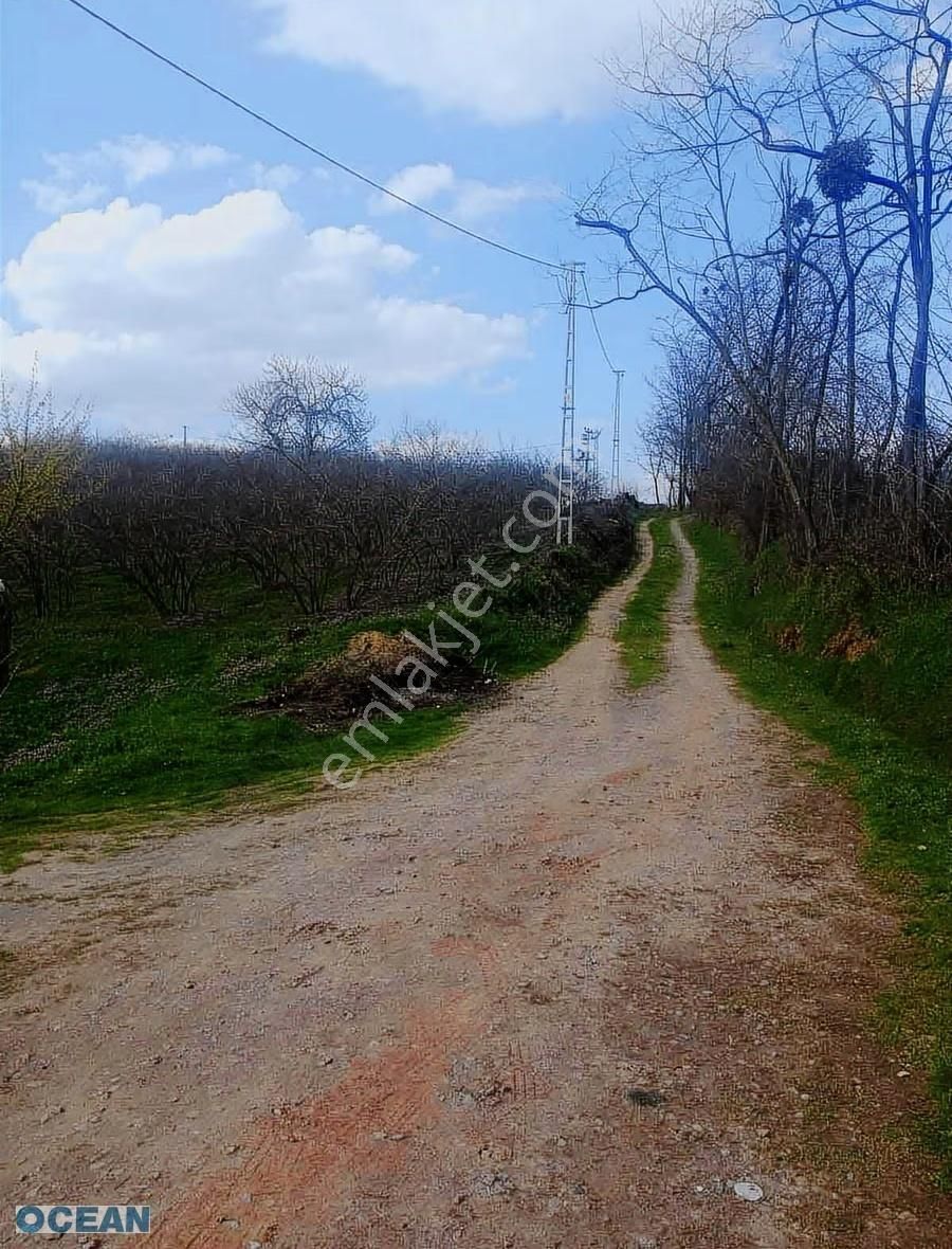 Sakarya Serdivan Kızılcıklıda Satılık Tarla - Görsel 8