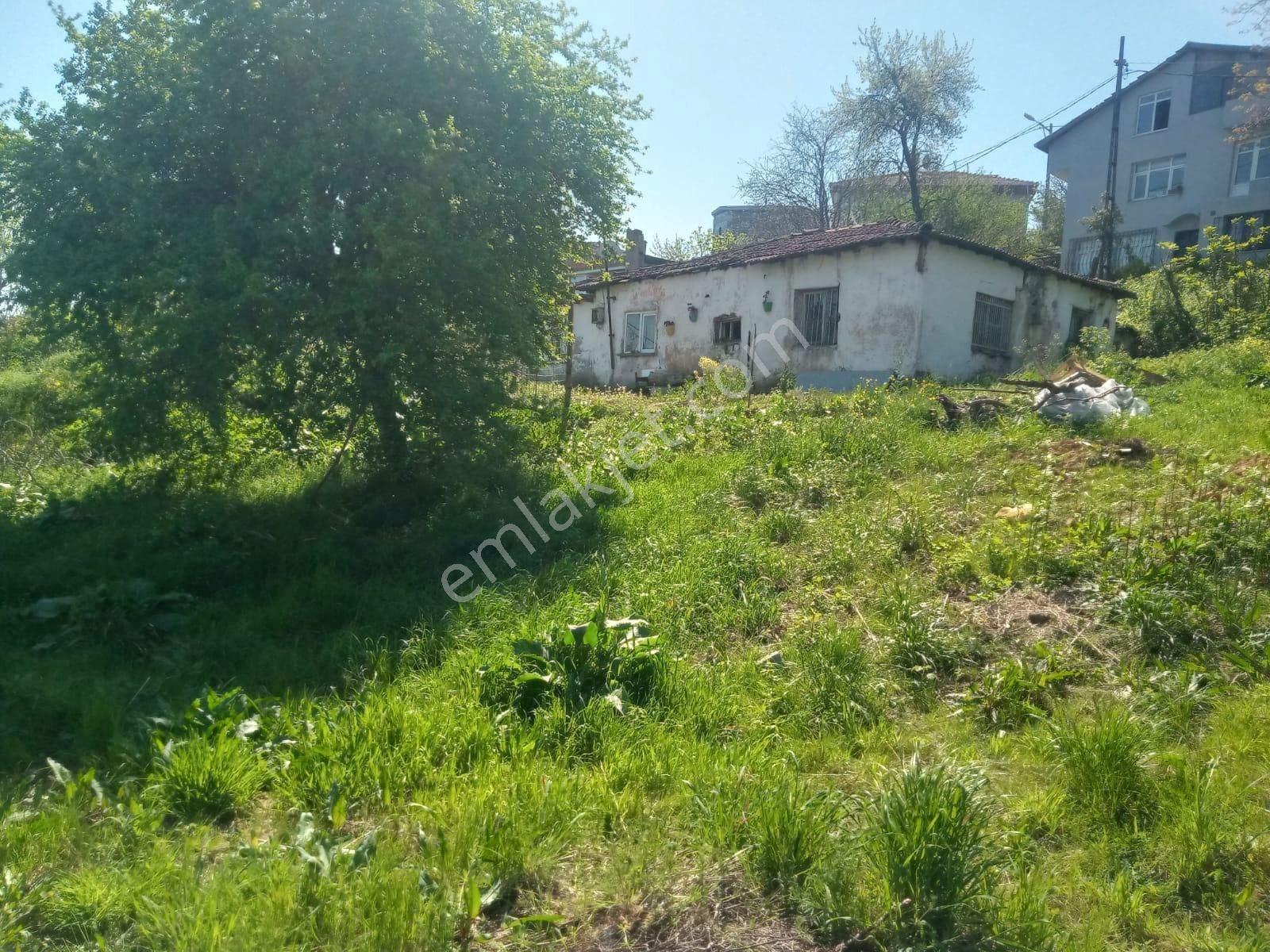 Beykoz Çubuklu Deniz Manzaralı 781 M² İmar İfrazlı Satılık Arsa - Görsel 32