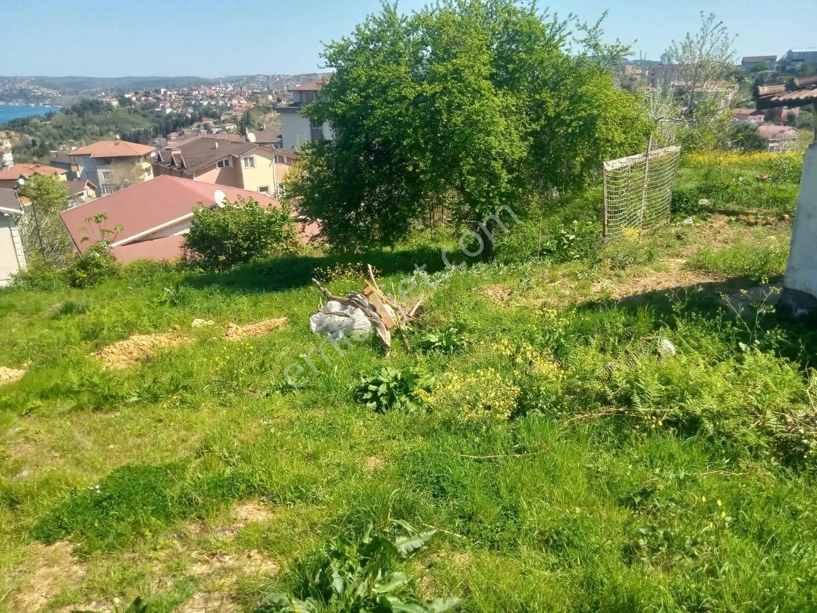 Beykoz Çubuklu Deniz Manzaralı 781 M² İmar İfrazlı Satılık Arsa - Görsel 4