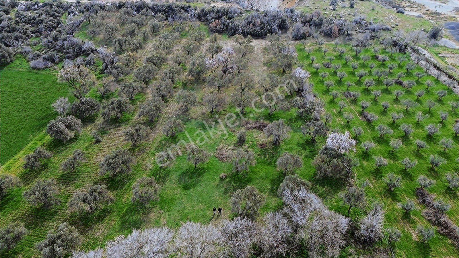 Ticari Potansiyeli Yüksek Sanayi Bölgesinde Fırsat Tarla - Görsel 7