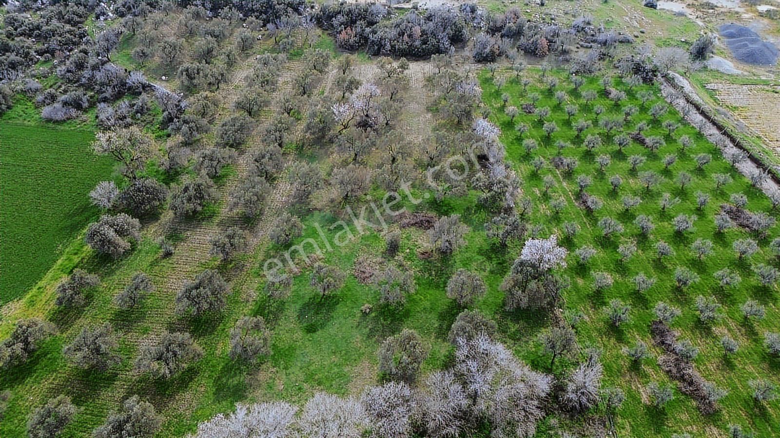 Ticari Potansiyeli Yüksek Sanayi Bölgesinde Fırsat Tarla - Görsel 22
