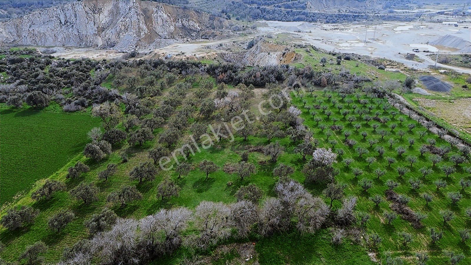 Ticari Potansiyeli Yüksek Sanayi Bölgesinde Fırsat Tarla - Görsel 9