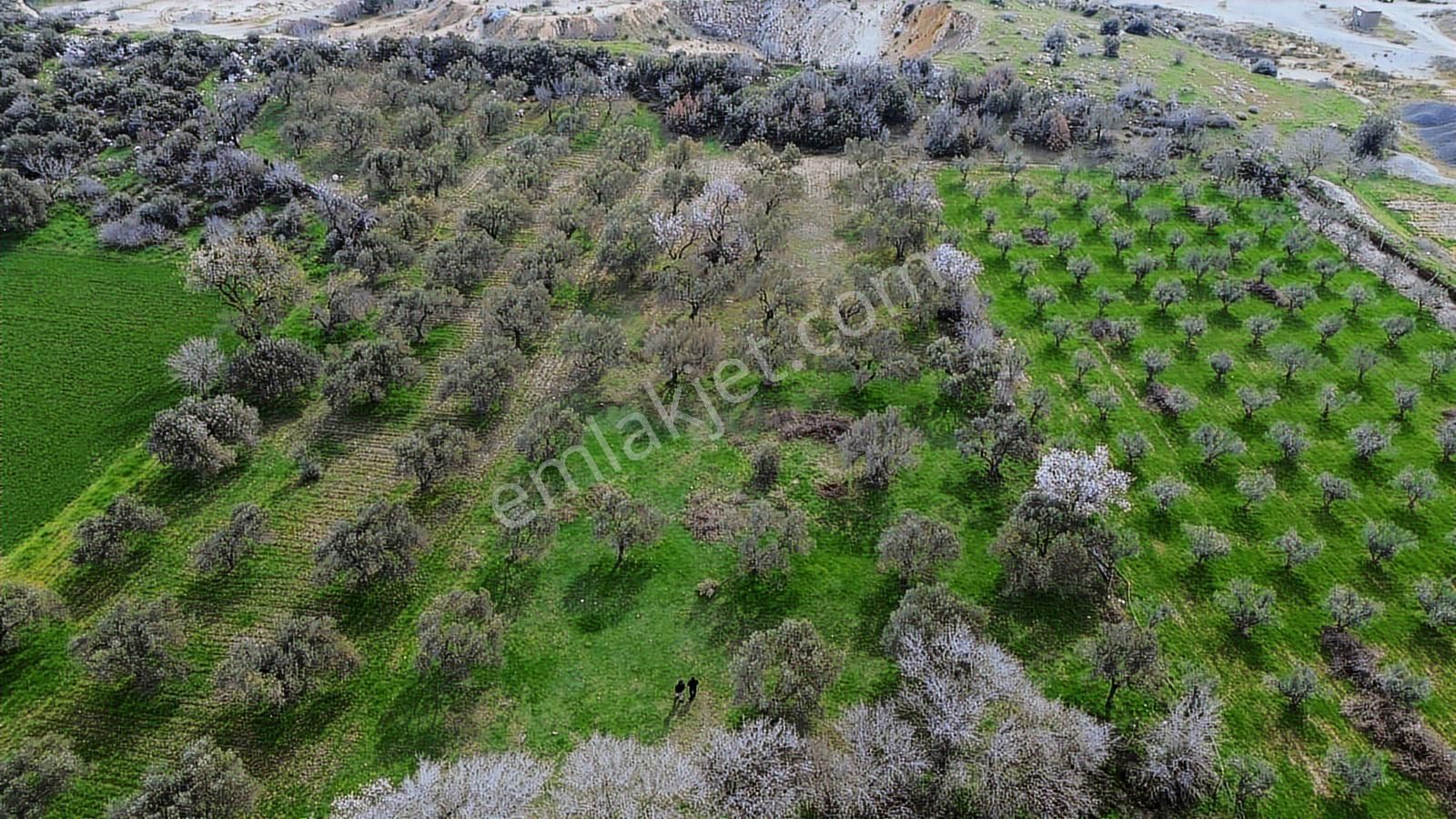 Ticari Potansiyeli Yüksek Sanayi Bölgesinde Fırsat Tarla - Görsel 6