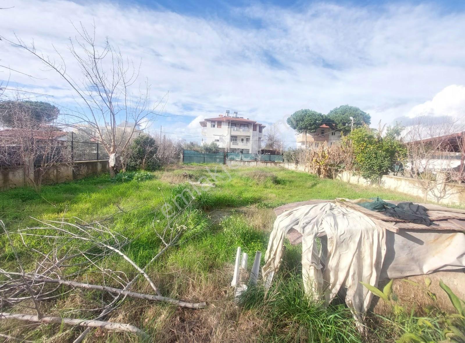 Meyve Ağaçları Ve Duvarla Çevrilmiş Ev Yapımına Uygun Arsa - Görsel 3