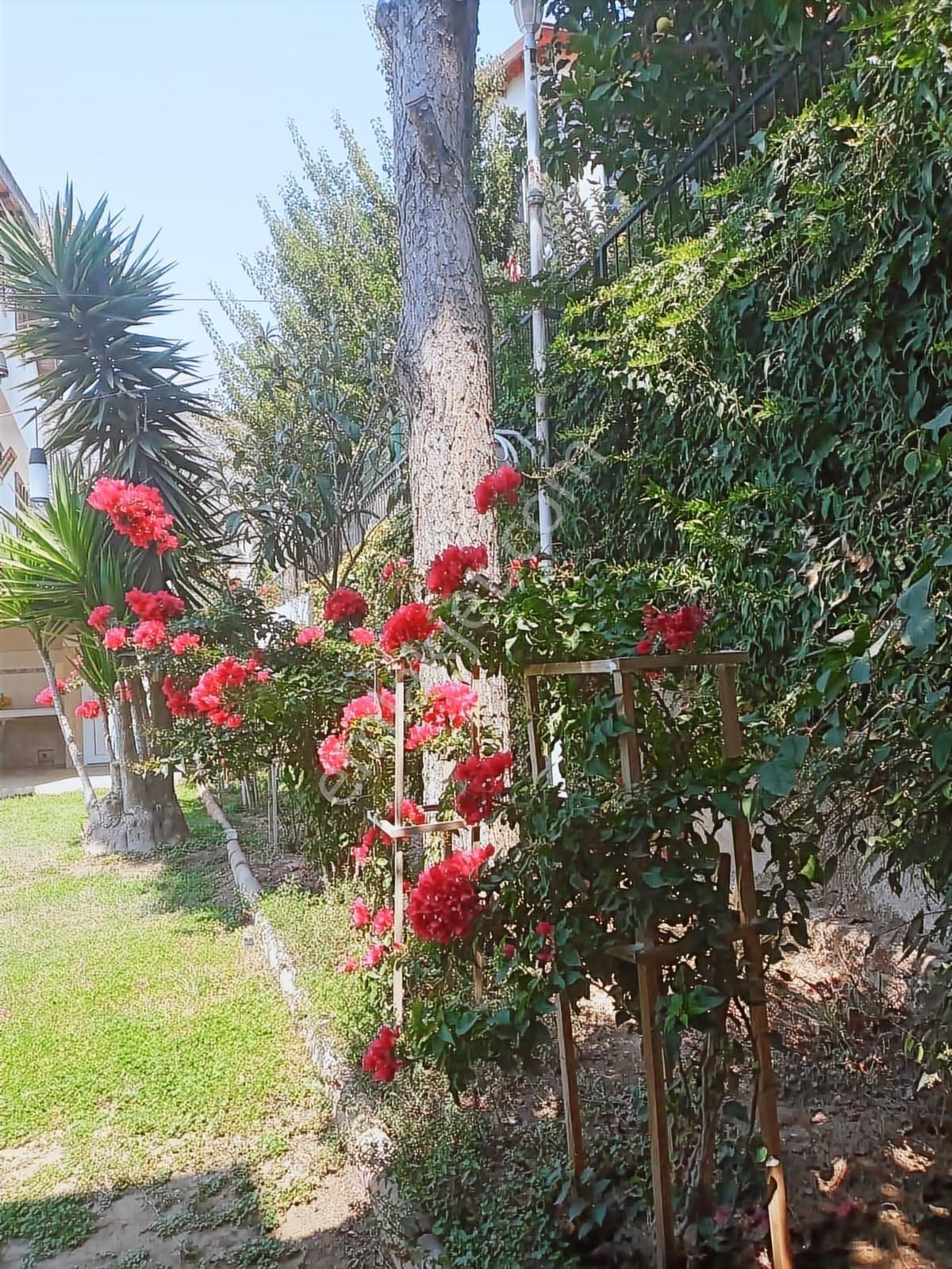 Kuşadası Yavansu'da Doğalgazlı 4+1 Fırsat Villa - Görsel 6