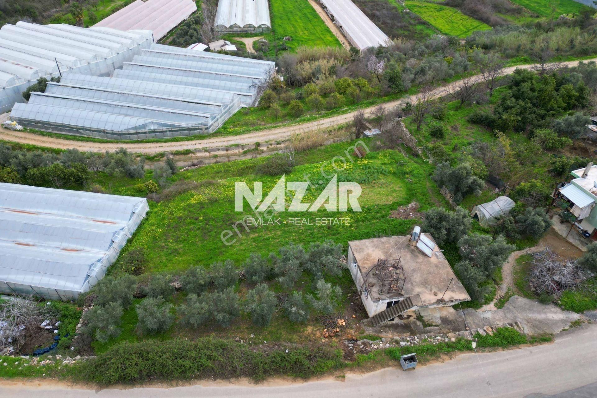 Alanya Türkler’de 3.059 M² Satılık Tarla Ve 2+1 Ev - Görsel 15