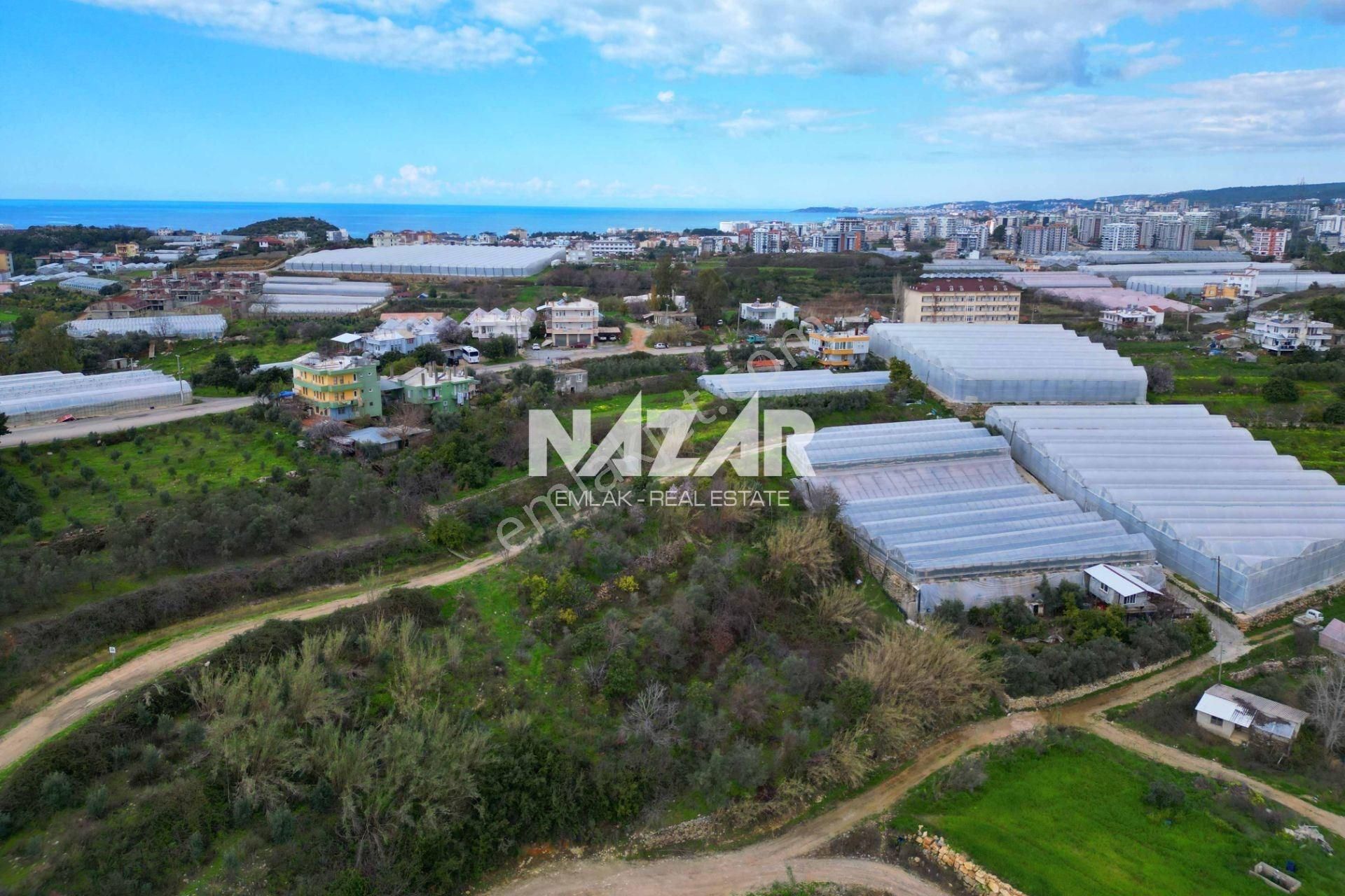 Alanya Türkler’de 3.059 M² Satılık Tarla Ve 2+1 Ev - Görsel 17