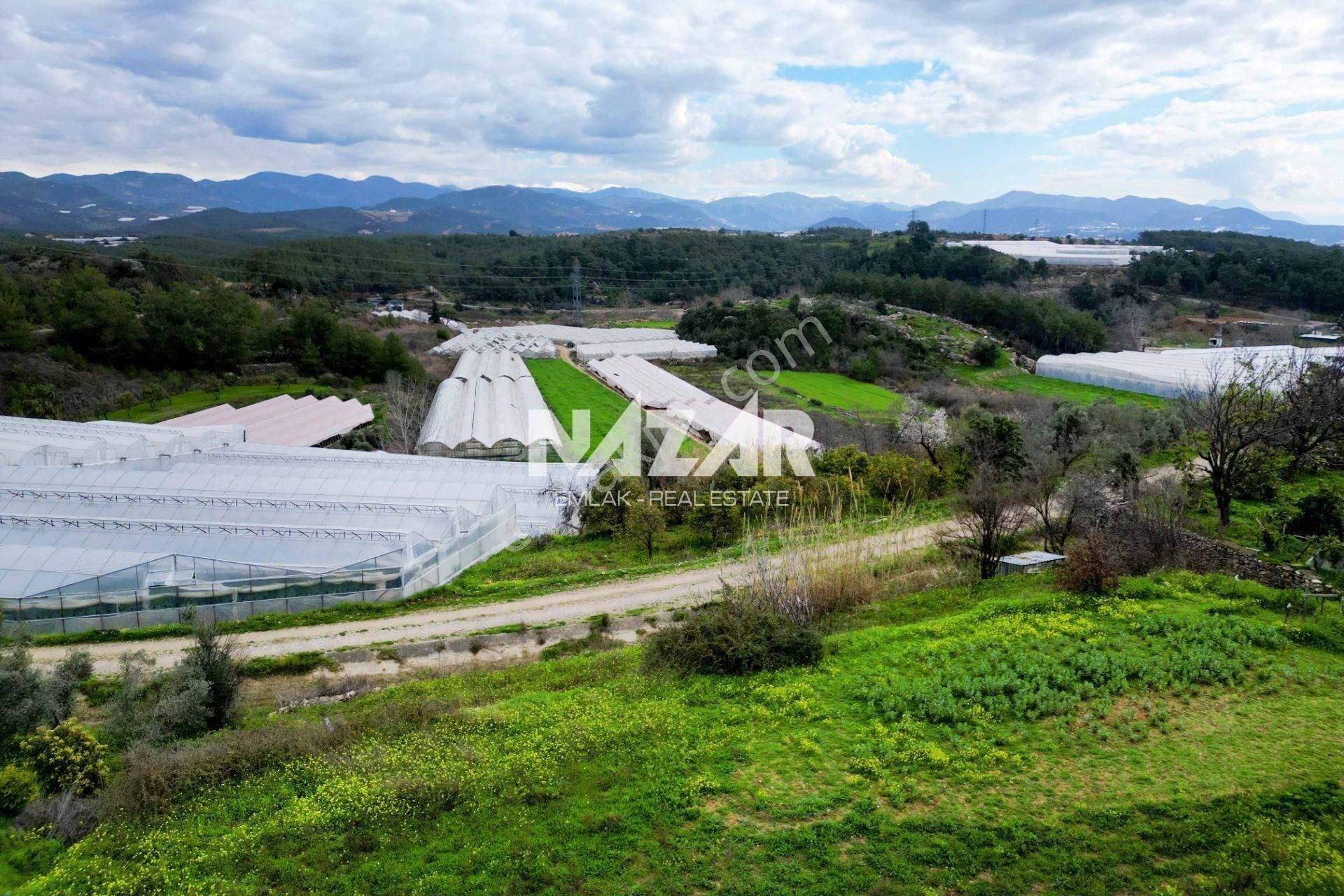 Alanya Türkler’de 3.059 M² Satılık Tarla Ve 2+1 Ev - Görsel 9