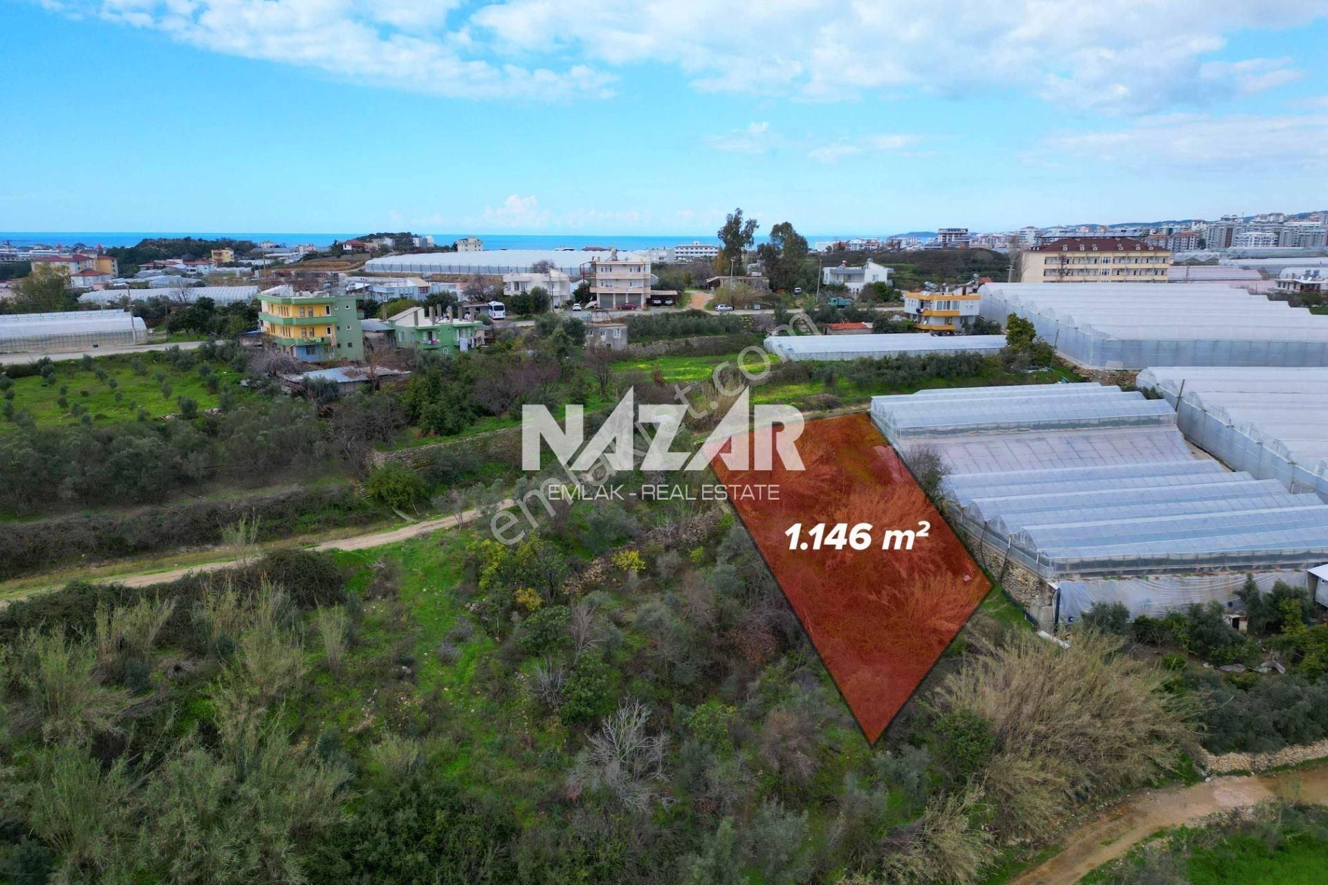 Alanya Türkler’de 3.059 M² Satılık Tarla Ve 2+1 Ev - Görsel 6