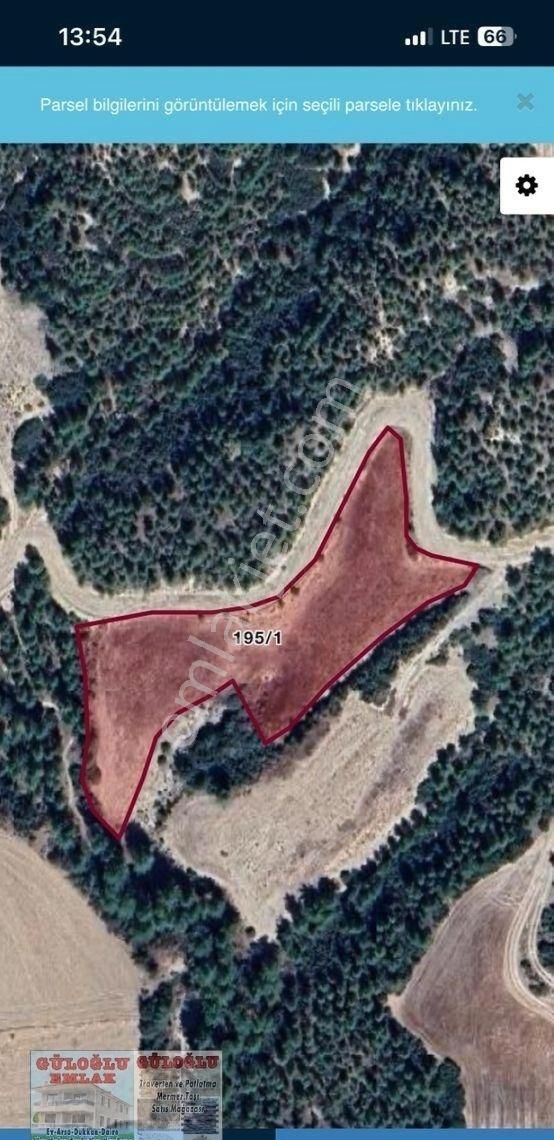 Çal Belevi Satılık Tarlalar