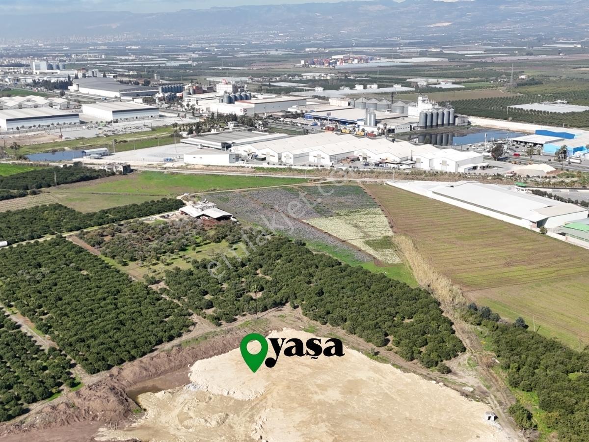 Yaşa Gyd - Akdeniz Anadolu Mahallesinde 10.050 M² Satılık Tarla - Görsel 2