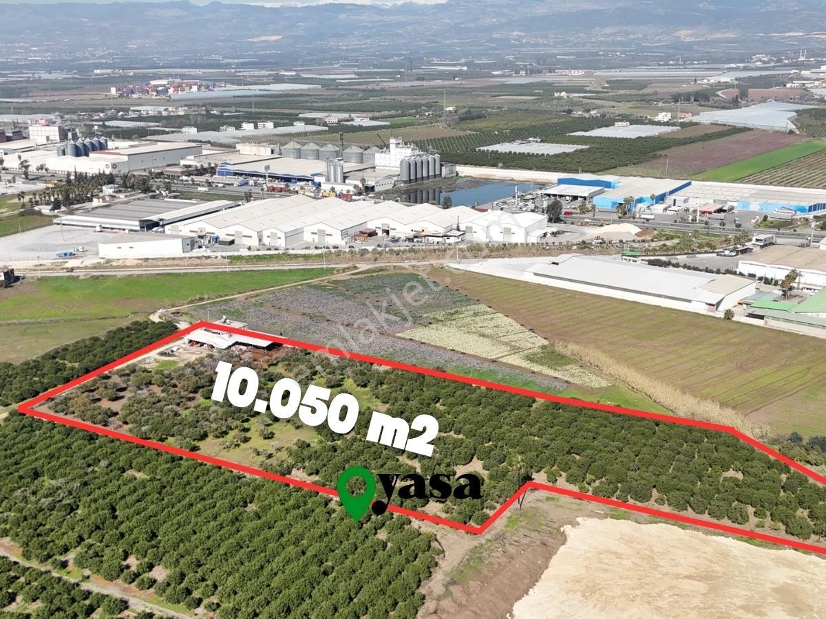 Yaşa Gyd - Akdeniz Anadolu Mahallesinde 10.050 M² Satılık Tarla - Görsel 4