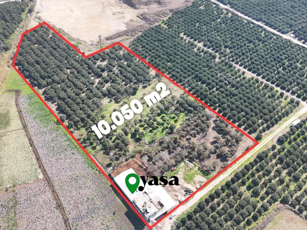 Yaşa Gyd - Akdeniz Anadolu Mahallesinde 10.050 M² Satılık Tarla