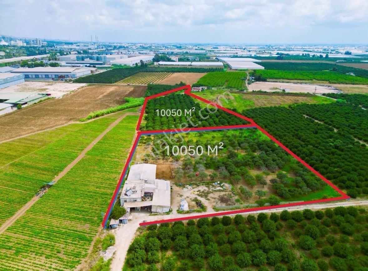 Yaşa Gyd - Akdeniz Anadolu Mahallesinde 10.050 M² Satılık Tarla - Görsel 5