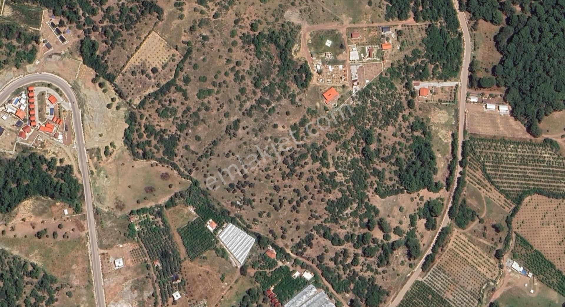 Adrasanda Satılık 2.000 M² Tarla | Rızai Taksimli - Görsel 2