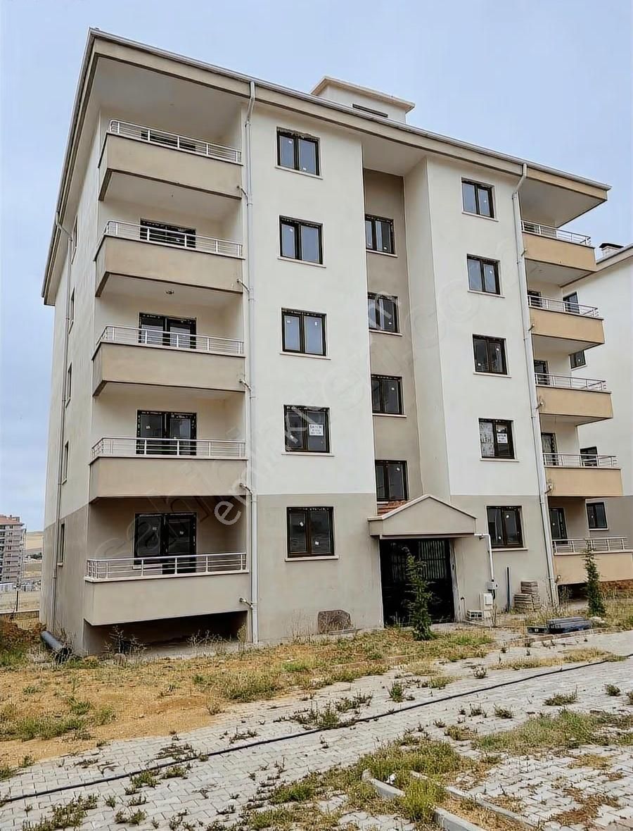 Tapulu Oturum Başlamış Sitede Geniş Daire