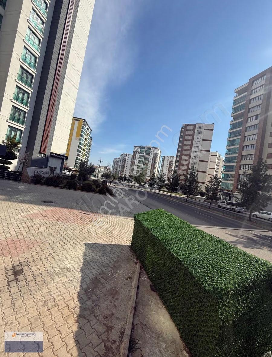 Necaroğullarından Mastfroş Başında Fırsat Dükkan - Görsel 6