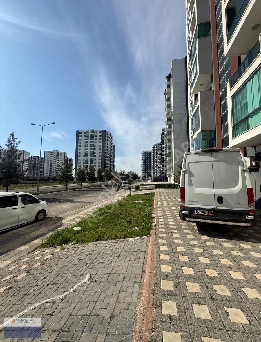 Necaroğullarından Mastfroş Başında Fırsat Dükkan - Görsel 11