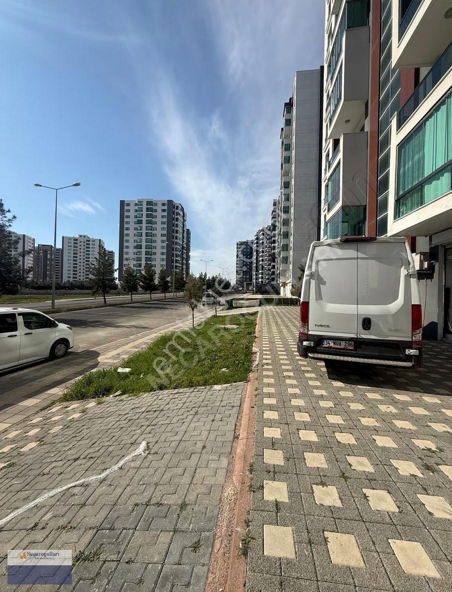 Necaroğullarından Mastfroş Başında Fırsat Dükkan - Görsel 7
