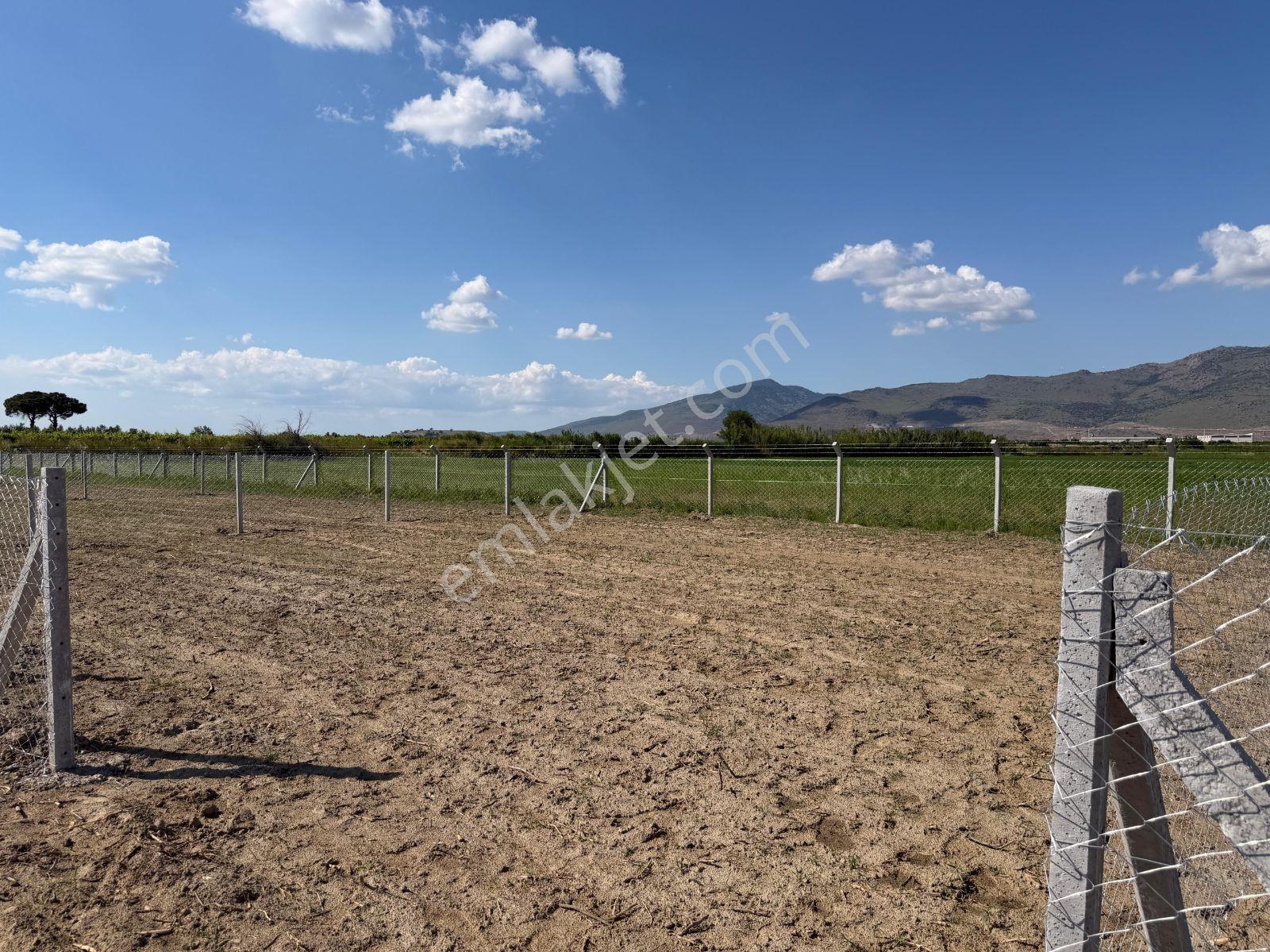 Menemen Çavuş'ta Yola Cepheli 313 M² Hobi Bahçesi - Görsel 16