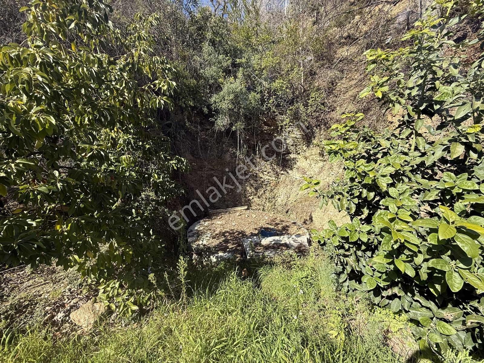 Alanya Yenice'de 1.717m2 Deniz Manzaralı Müstakil Yaşam Alanı - Görsel 14