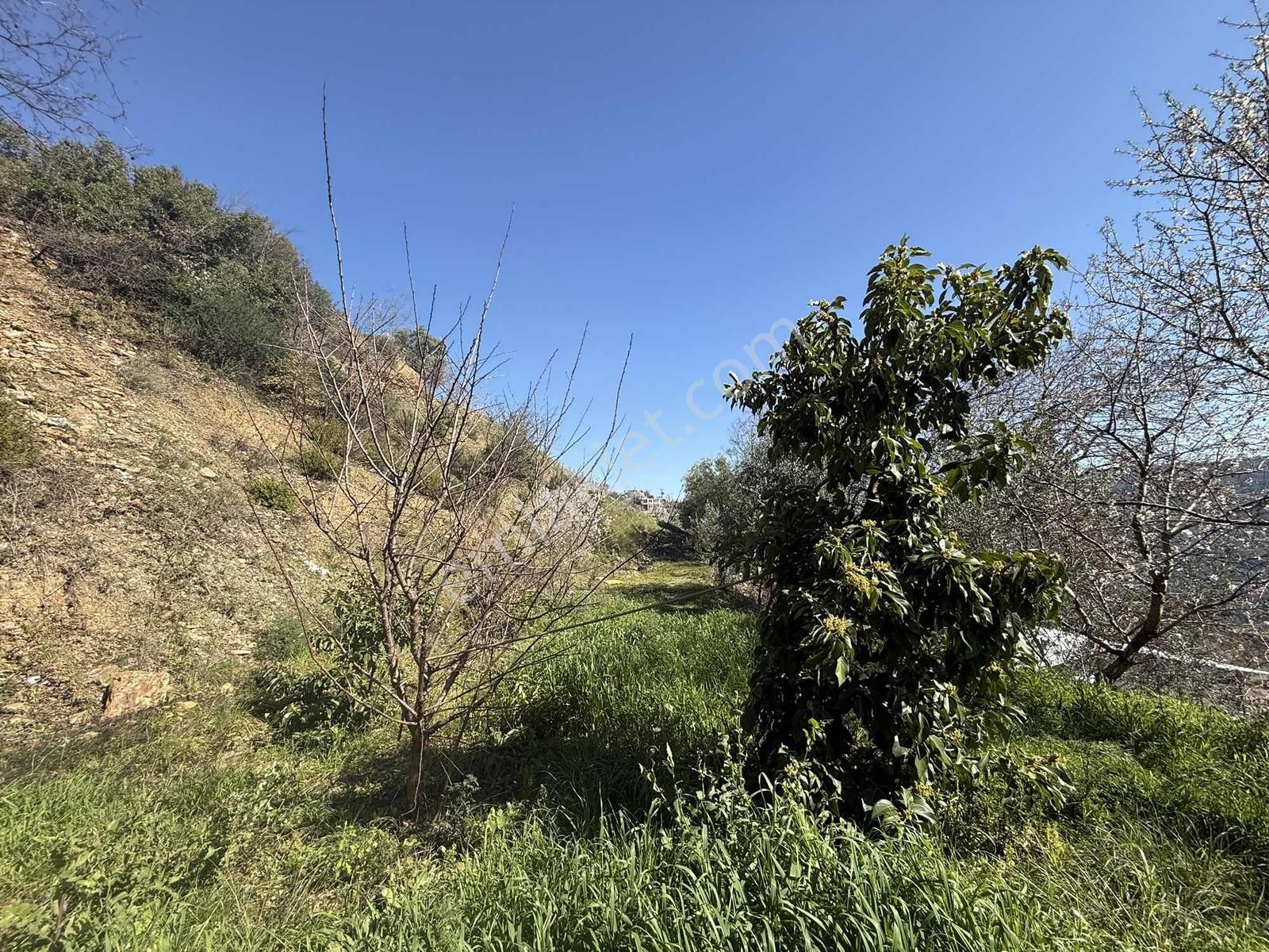 Alanya Yenice'de 1.717m2 Deniz Manzaralı Müstakil Yaşam Alanı - Görsel 22