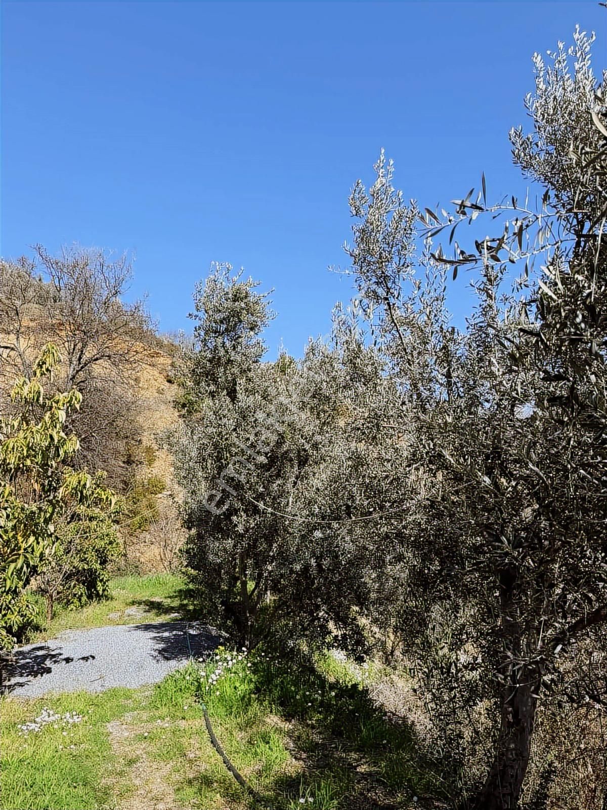 Alanya Yenice'de 1.717m2 Deniz Manzaralı Müstakil Yaşam Alanı - Görsel 20