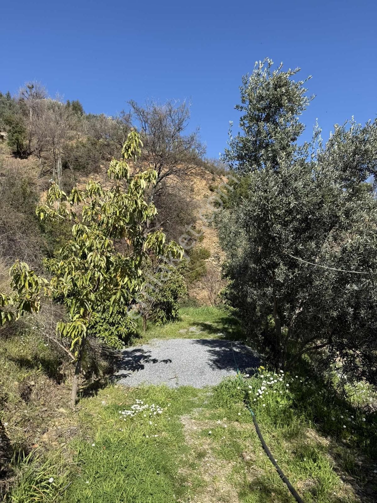 Alanya Yenice'de 1.717m2 Deniz Manzaralı Müstakil Yaşam Alanı - Görsel 13