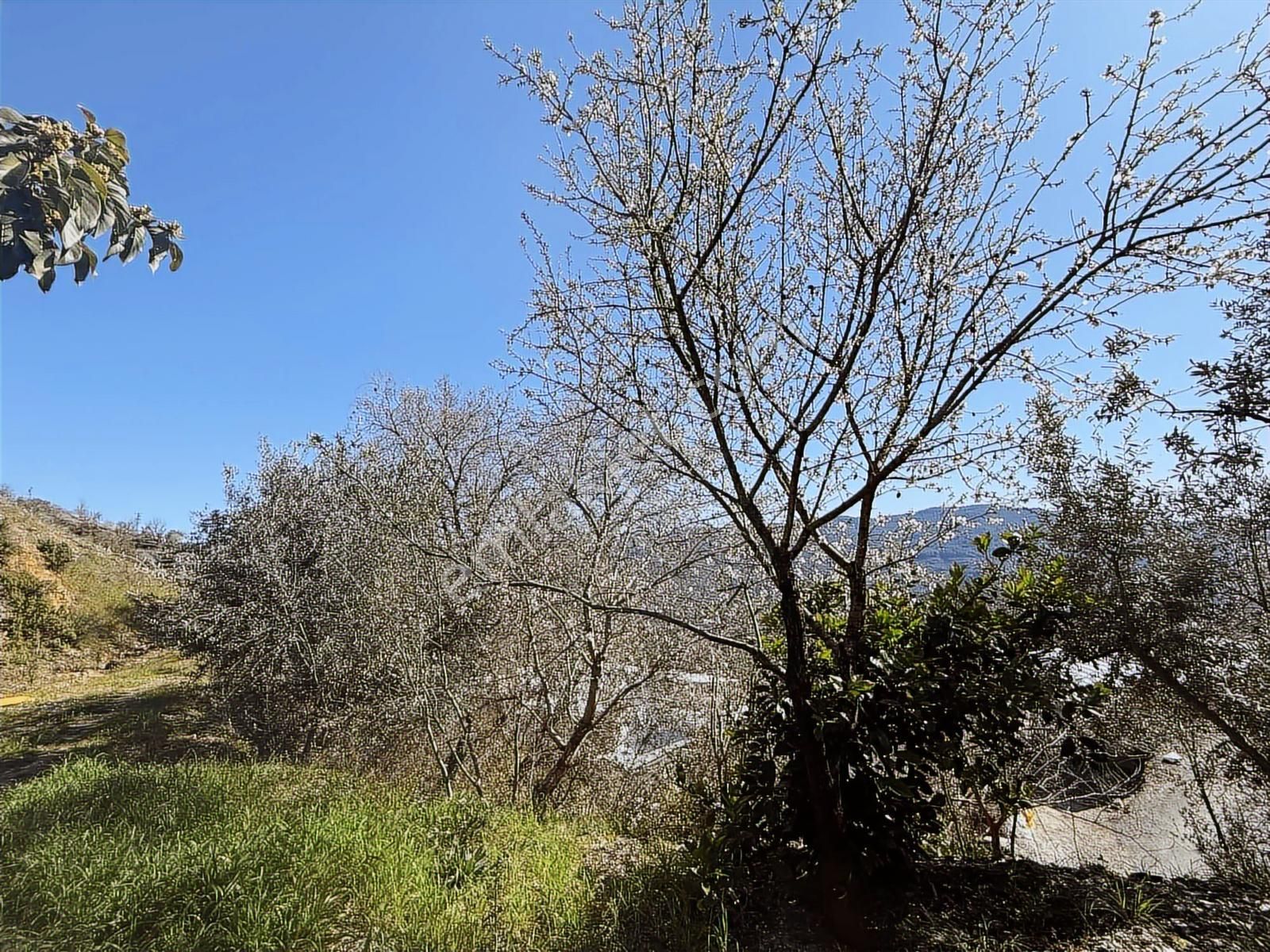 Alanya Yenice'de 1.717m2 Deniz Manzaralı Müstakil Yaşam Alanı - Görsel 23