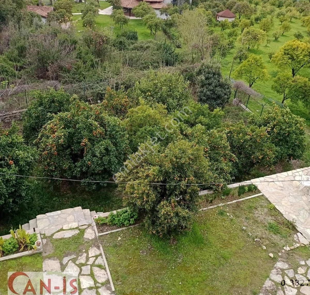 Denize 300 Metre Orman İçinde Deniz Ve Doğa Manzaralı Lüks Daire - Görsel 6