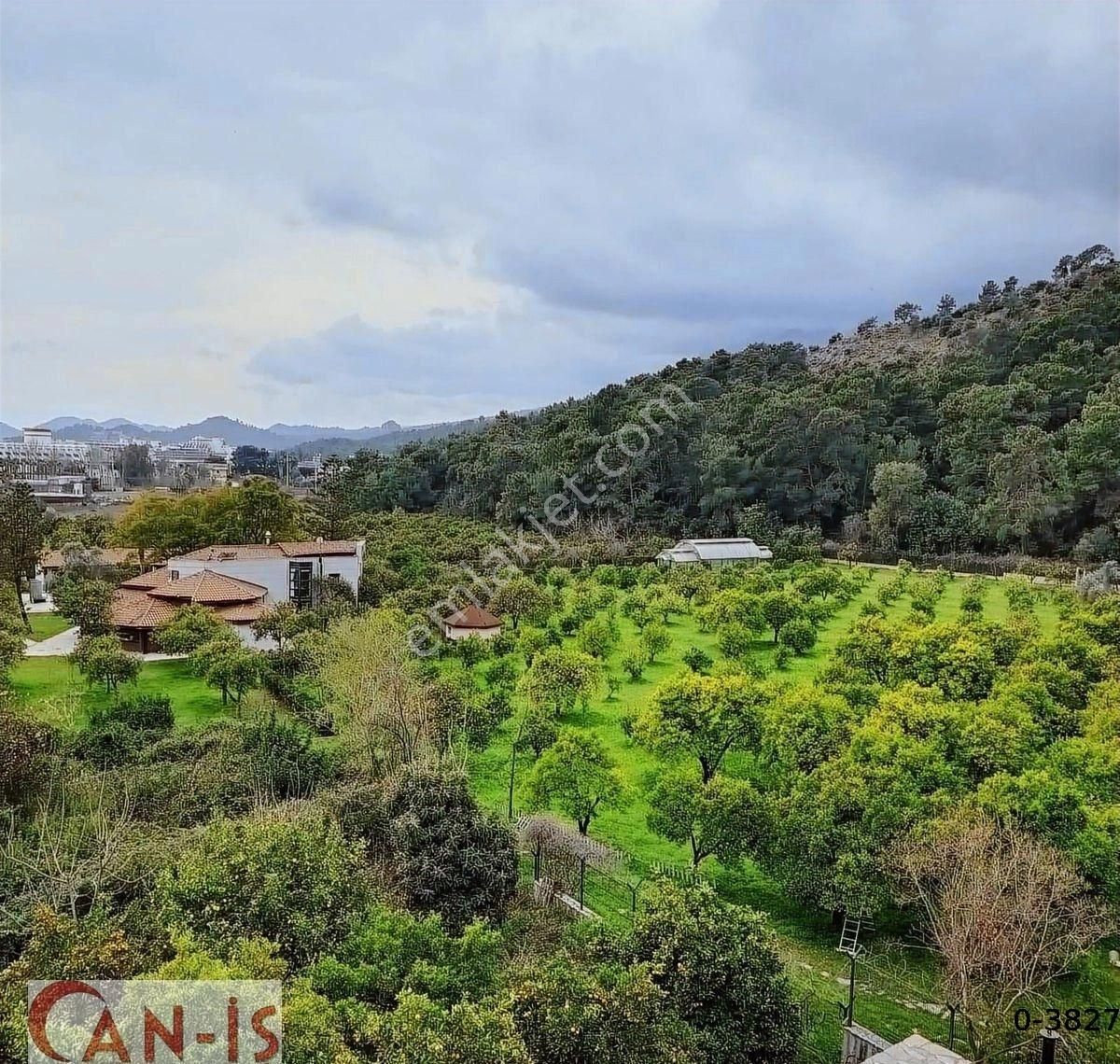 Denize 300 Metre Orman İçinde Deniz Ve Doğa Manzaralı Lüks Daire - Görsel 9