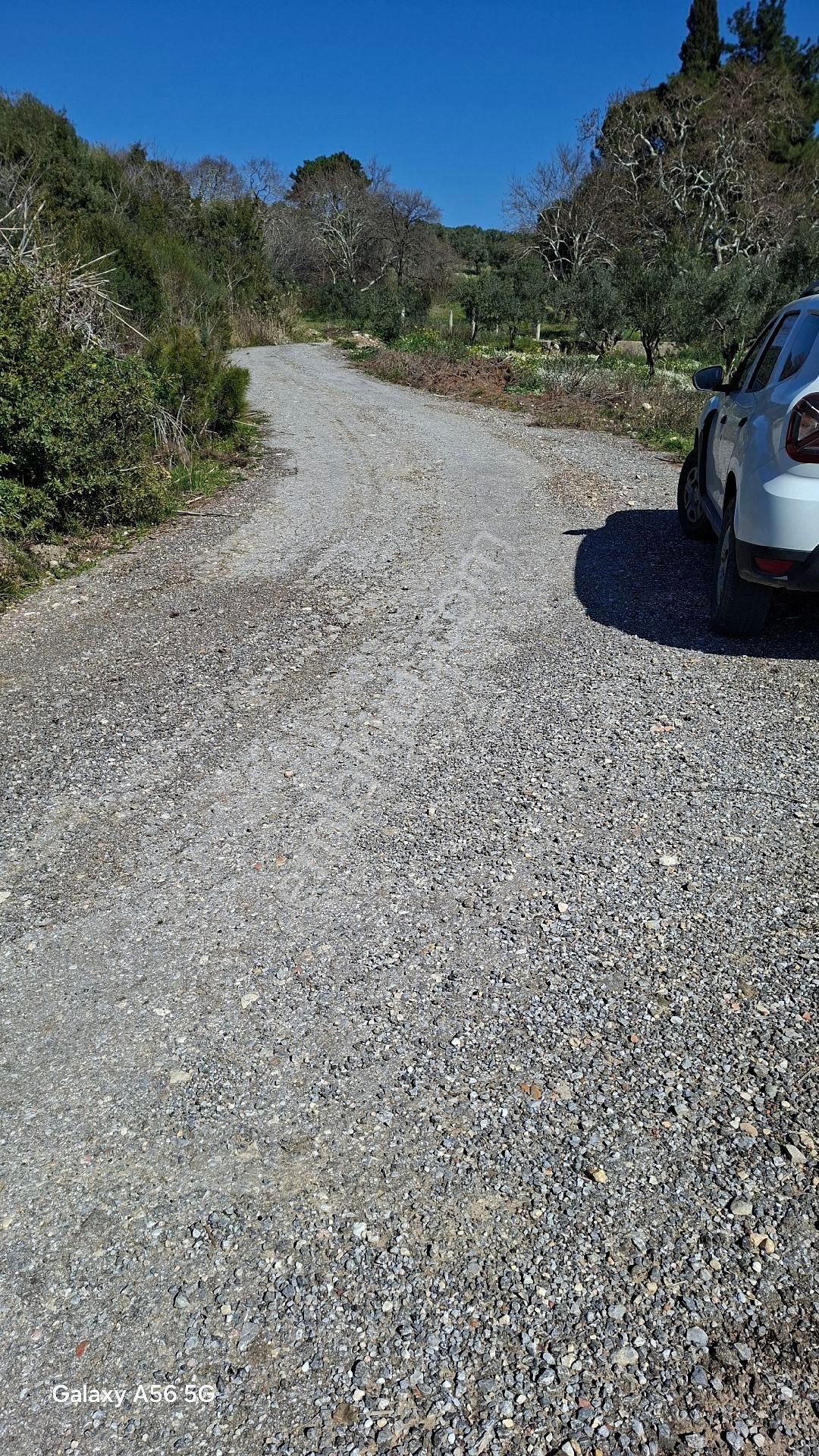 Torbalı Güzel Köylerde Sahipler'de Satılık Tarla Ve Zeytinlik - Görsel 12