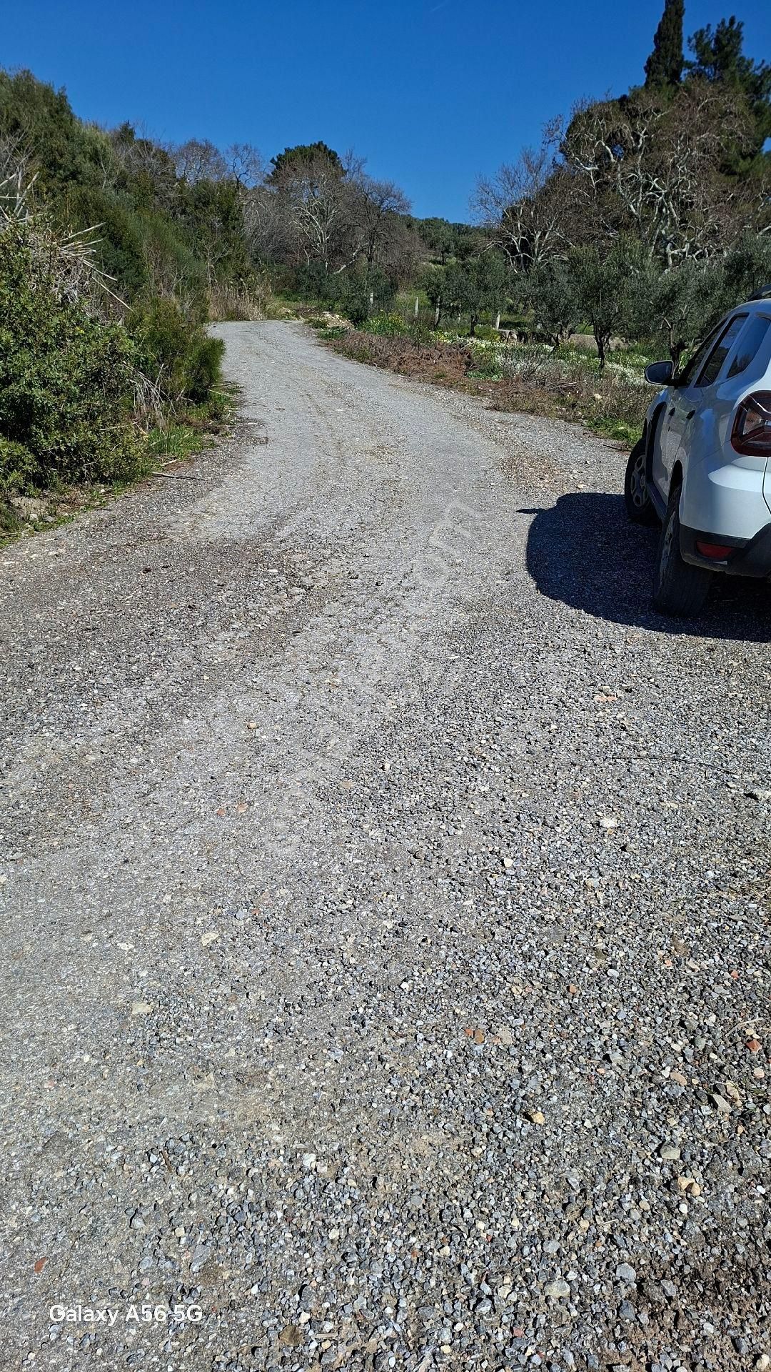 Torbalı Güzel Köylerde Sahipler'de Satılık Tarla Ve Zeytinlik - Görsel 11