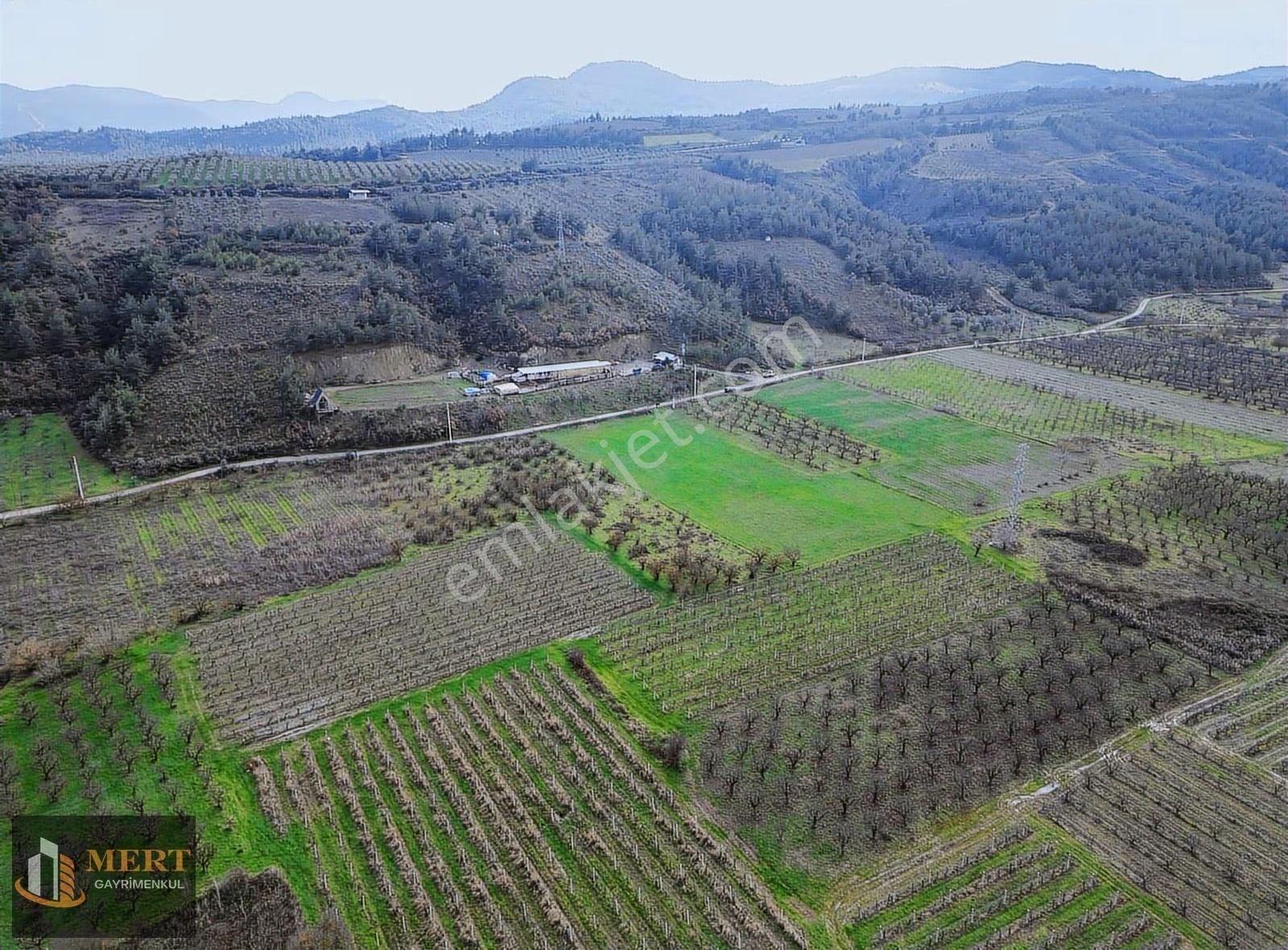 Sakarya Pamukova Mekecede 11.360 M² Yatırımlık Meyve Bahçesi - Görsel 15