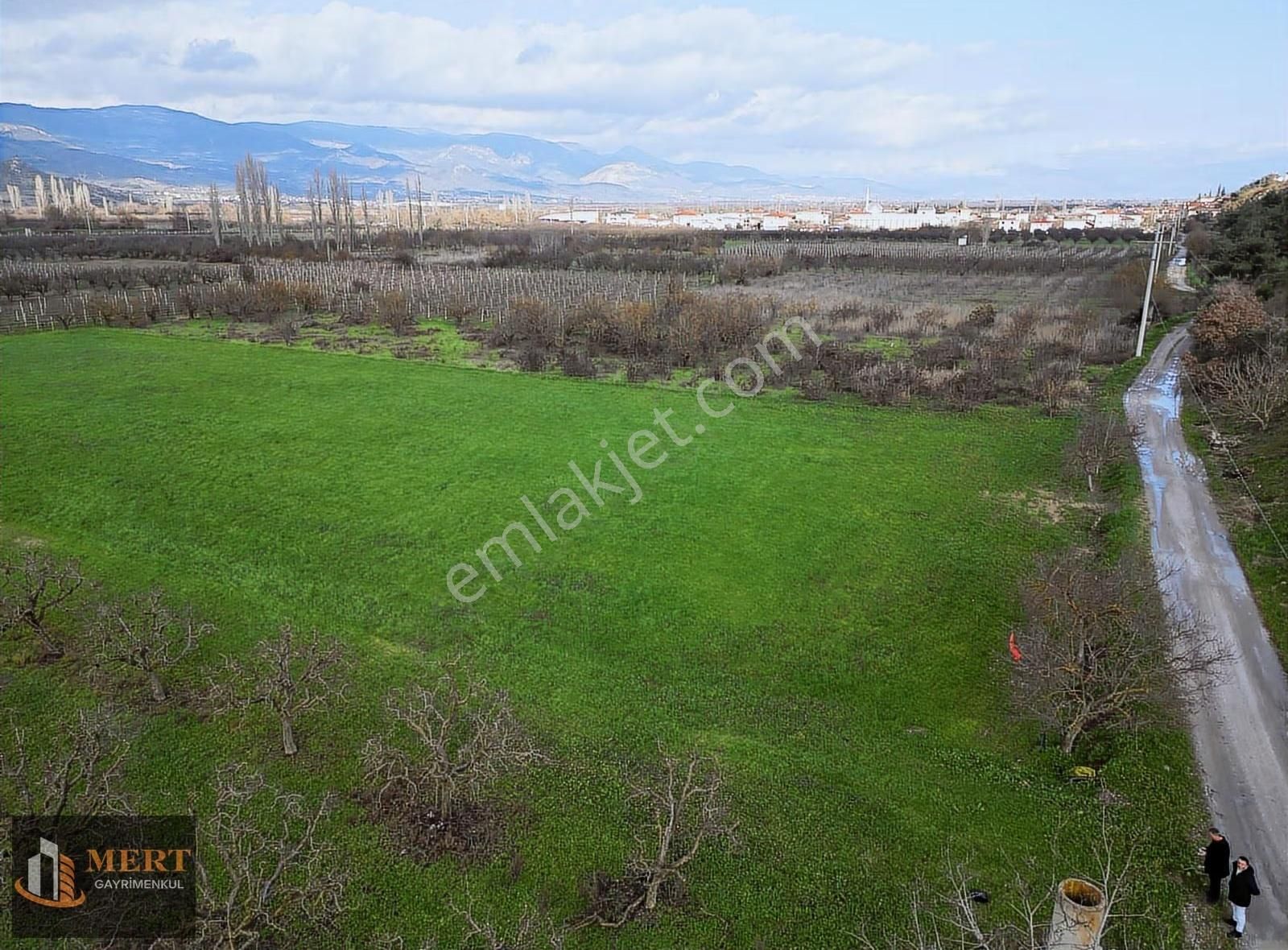 Sakarya Pamukova Mekecede 11.360 M² Yatırımlık Meyve Bahçesi - Görsel 3