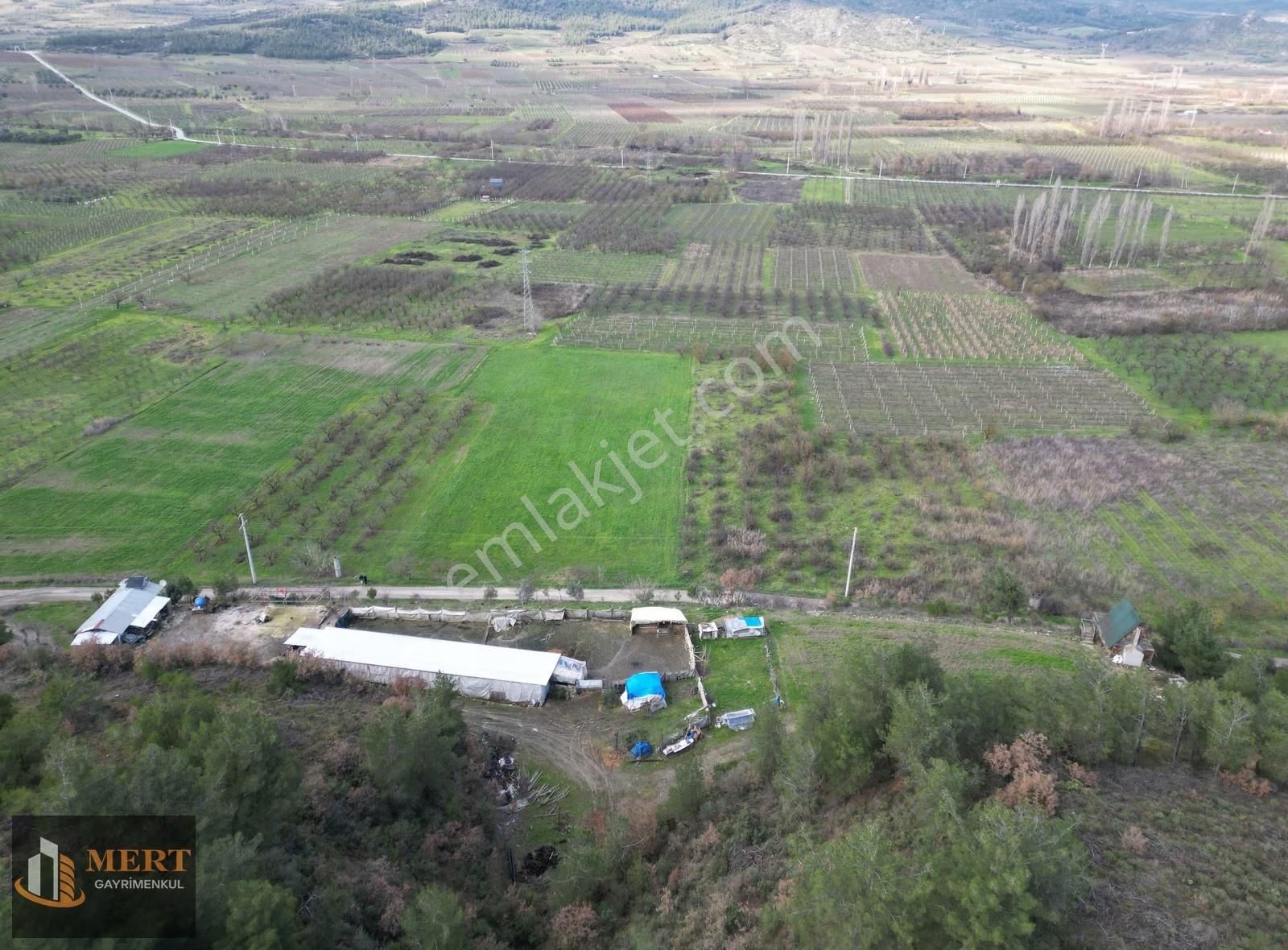 Sakarya Pamukova Mekecede 11.360 M² Yatırımlık Meyve Bahçesi - Görsel 23