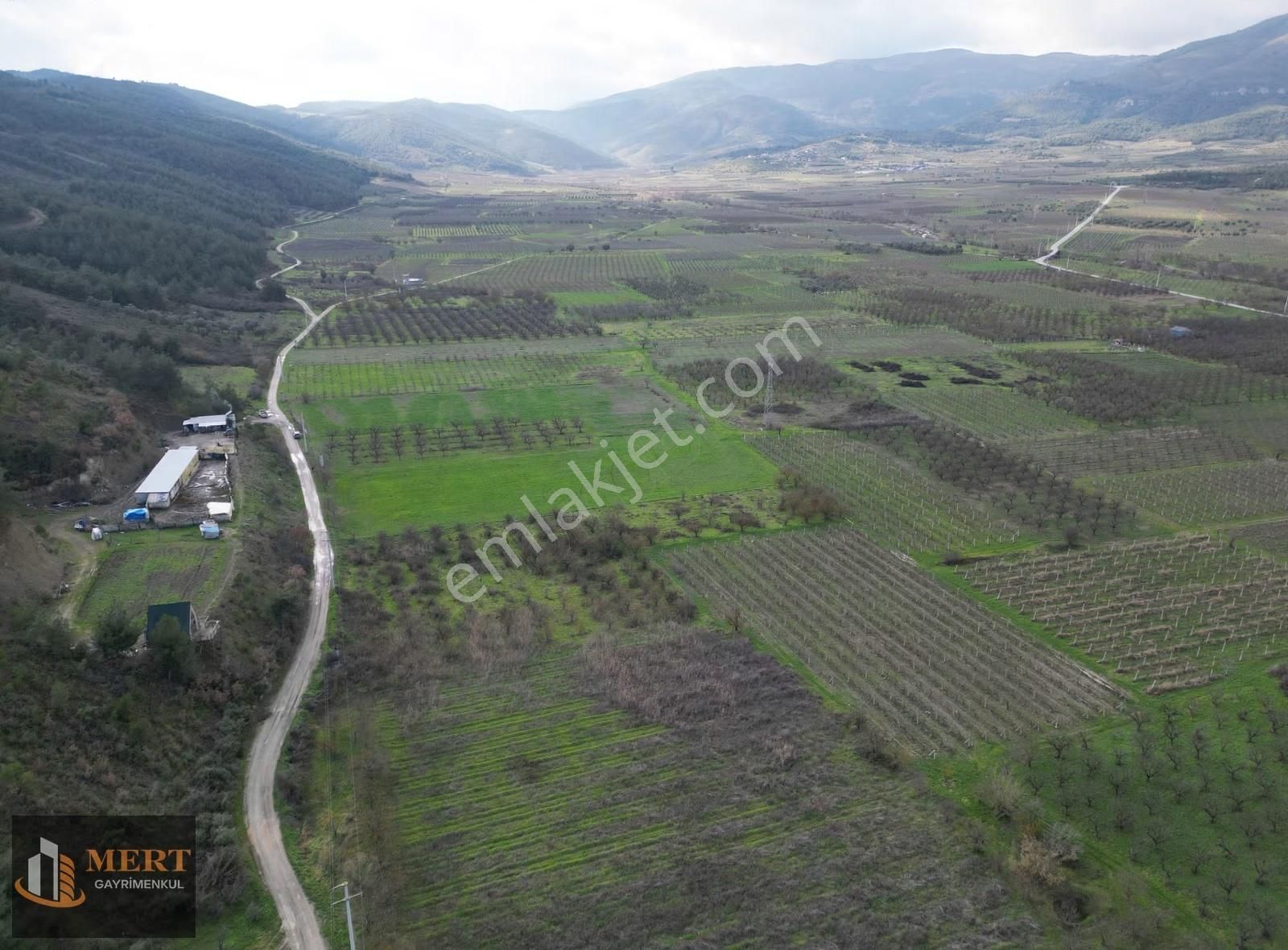 Sakarya Pamukova Mekecede 11.360 M² Yatırımlık Meyve Bahçesi - Görsel 2