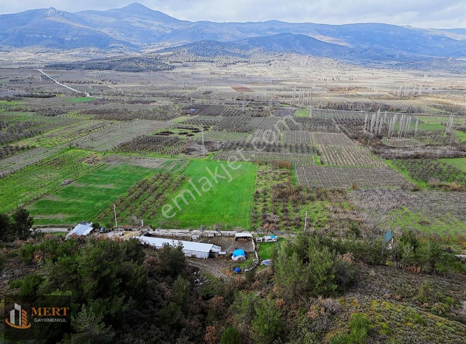 Sakarya Pamukova Mekecede 11.360 M² Yatırımlık Meyve Bahçesi - Görsel 12