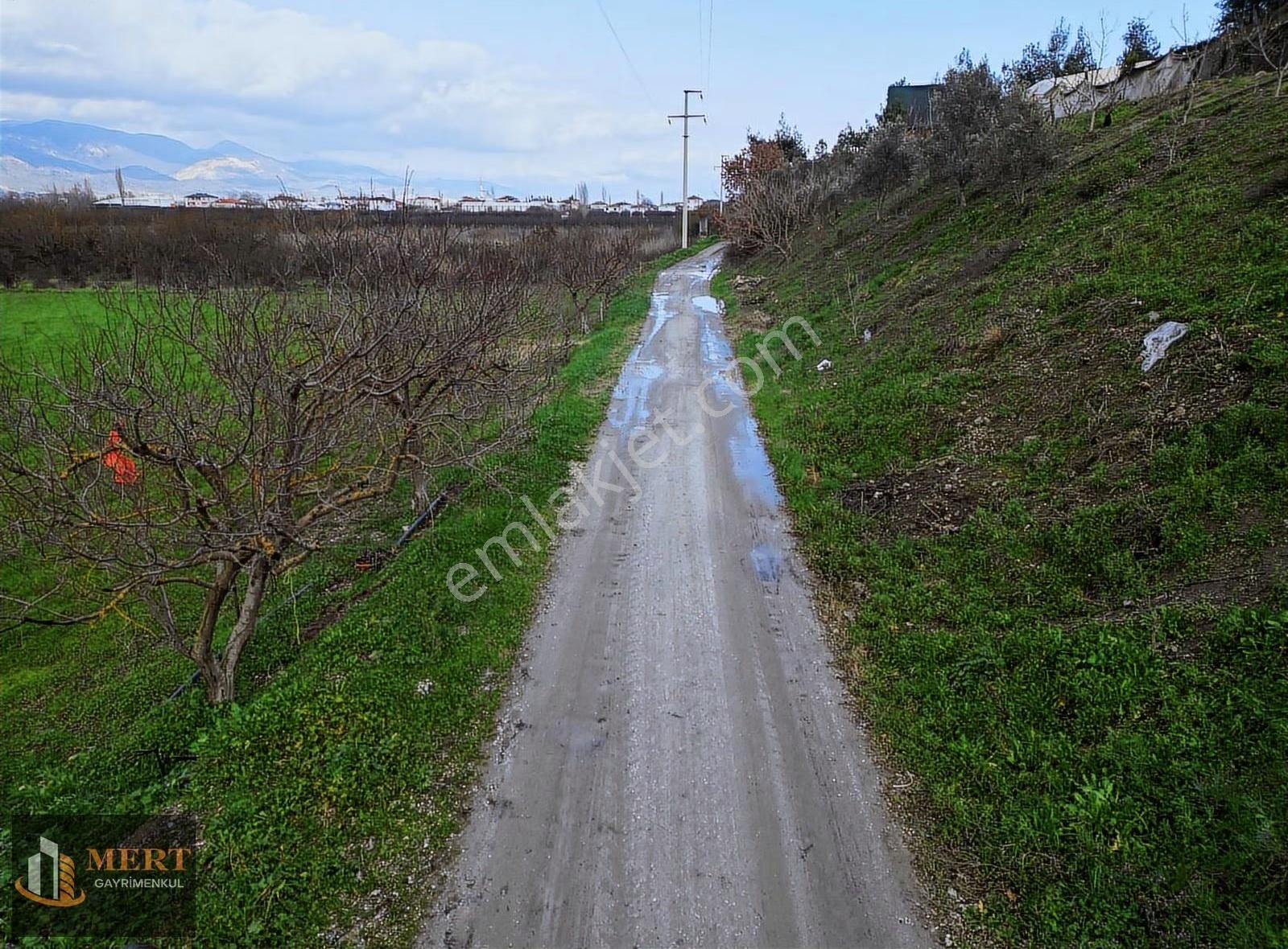 Sakarya Pamukova Mekecede 11.360 M² Yatırımlık Meyve Bahçesi - Görsel 16