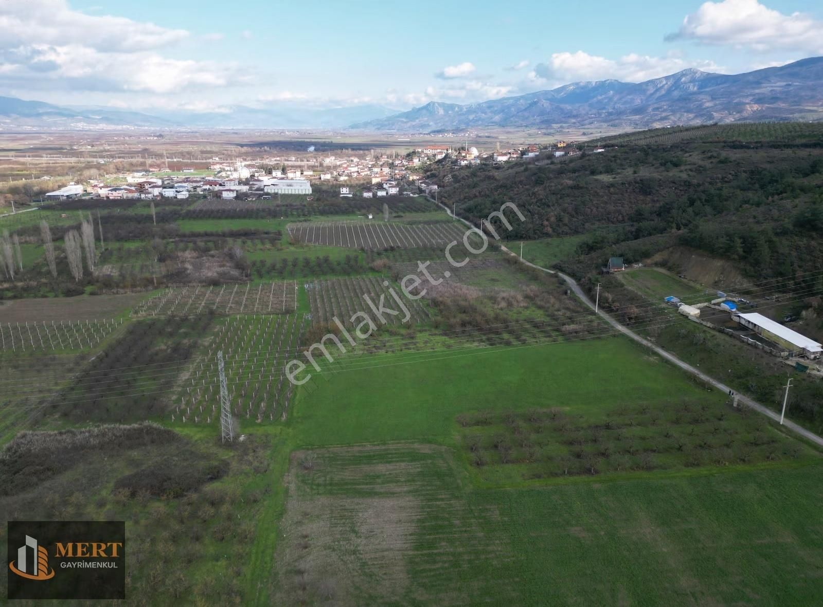 Sakarya Pamukova Mekecede 11.360 M² Yatırımlık Meyve Bahçesi - Görsel 5