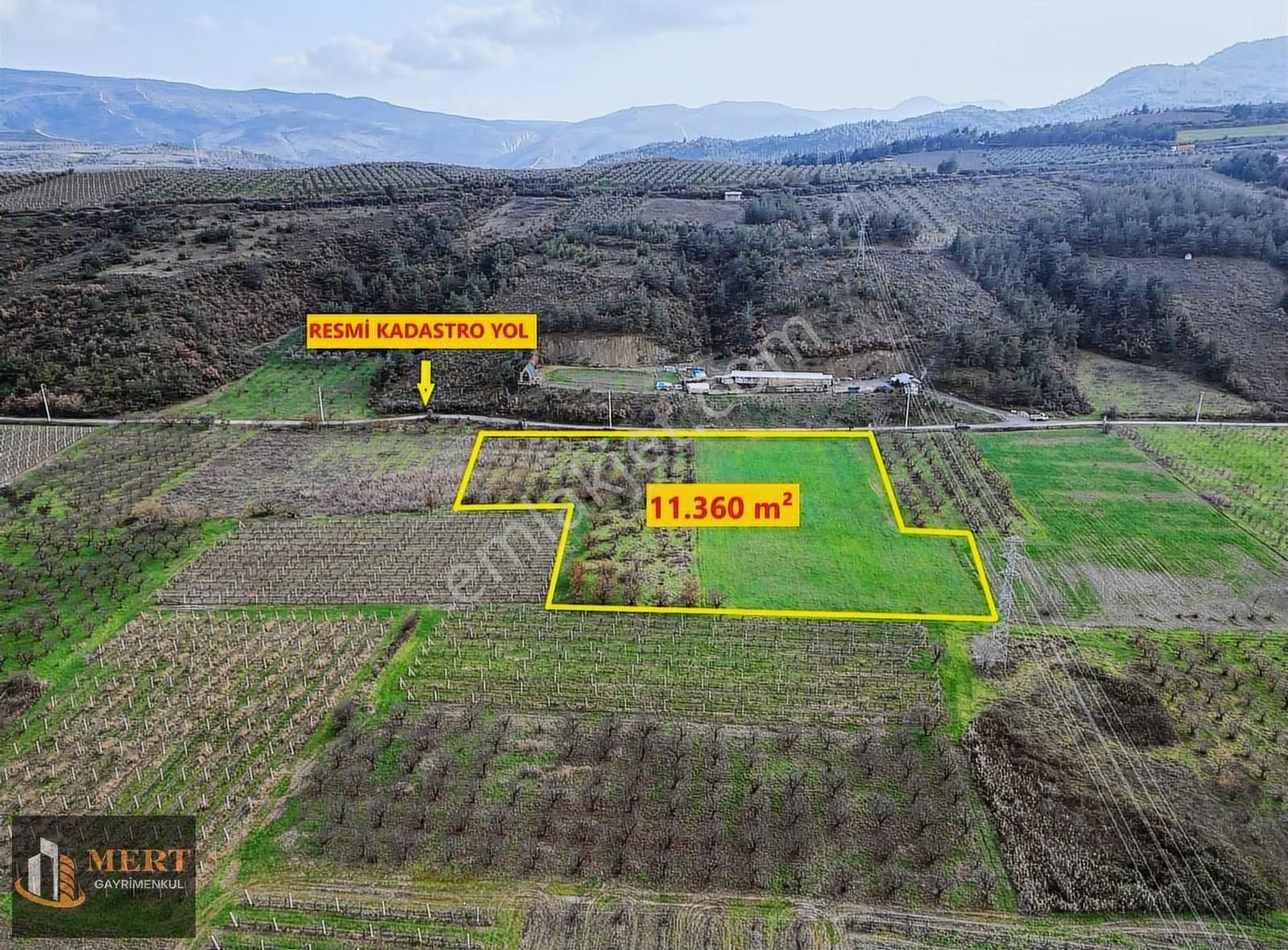 Sakarya Pamukova Mekecede 11.360 M² Yatırımlık Meyve Bahçesi