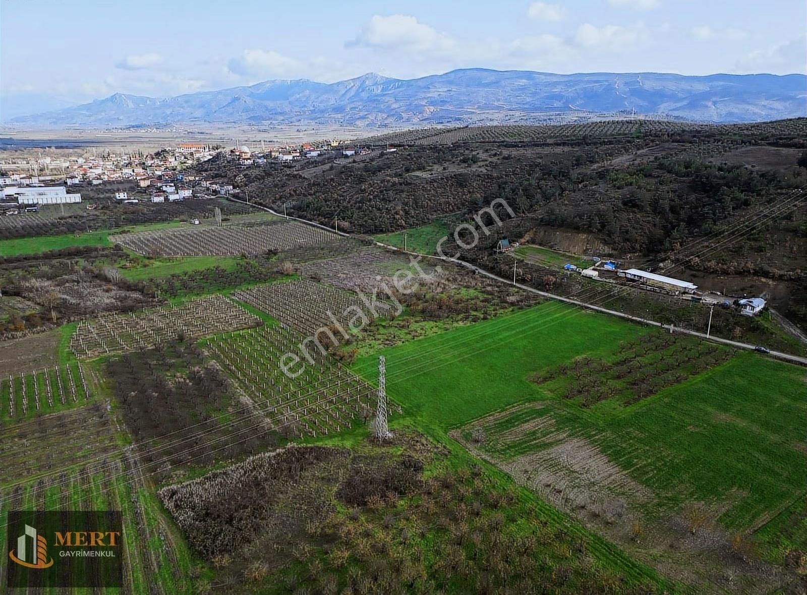 Sakarya Pamukova Mekecede 11.360 M² Yatırımlık Meyve Bahçesi - Görsel 21