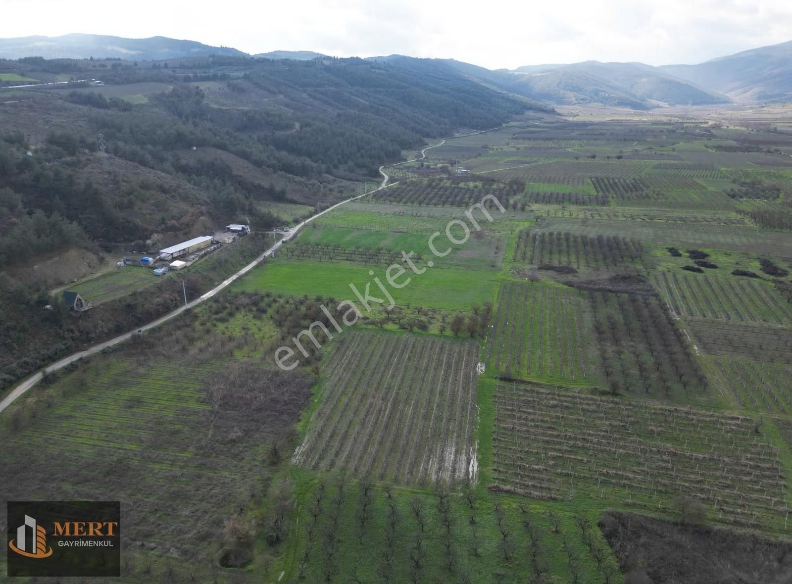 Sakarya Pamukova Mekecede 11.360 M² Yatırımlık Meyve Bahçesi - Görsel 19