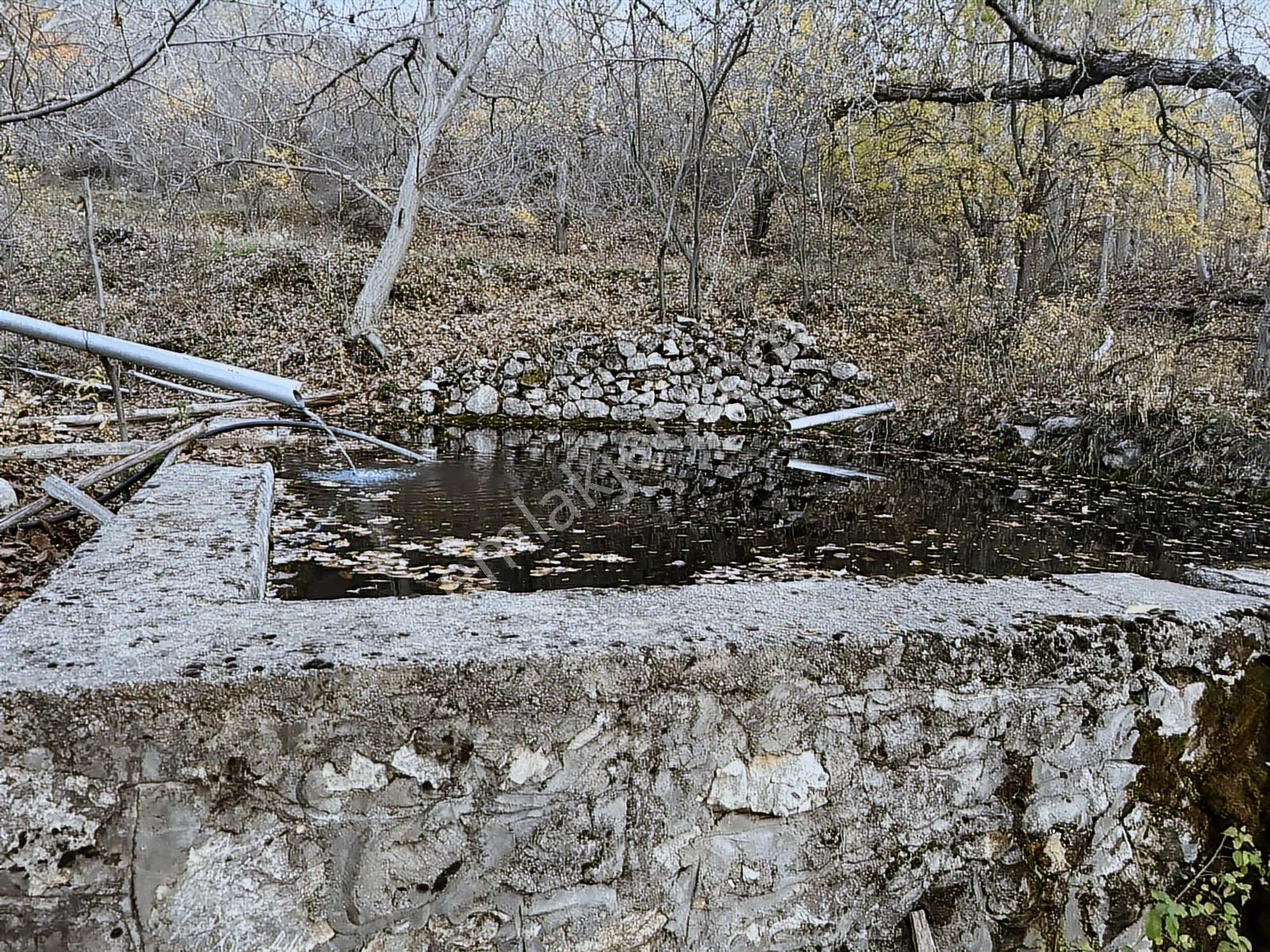 Çameli De Doğanın İçinde Suyu Olan Köy İçi Hobi Bahçesi - Görsel 2
