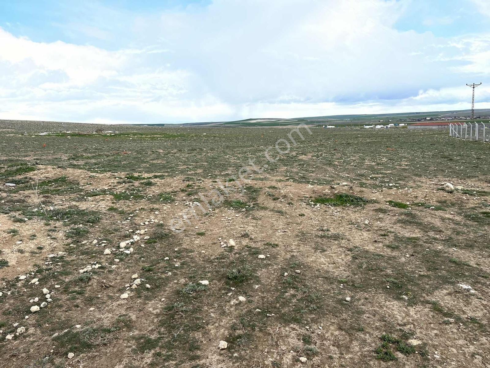 2000 Mt Arsa Köy İçi. Ev , Çiftlik Yapın.tek Tapu.takas Kısmen. - Görsel 19