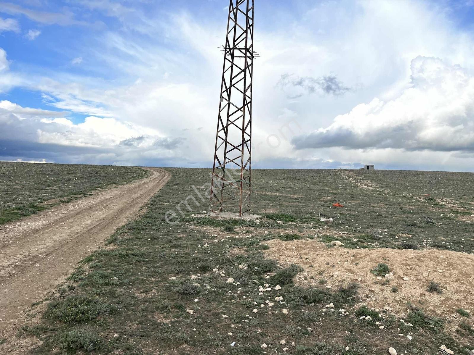 2000 Mt Arsa Köy İçi. Ev , Çiftlik Yapın.tek Tapu.takas Kısmen. - Görsel 18