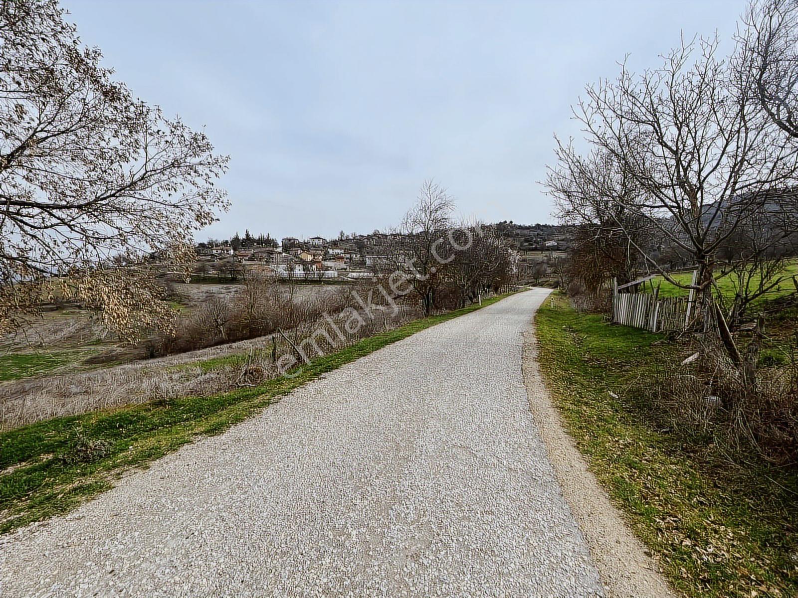 294 Mt.köy Taş Evi.tadilat İstiyor. Tek Tapu.su,elkt,yol - Görsel 10