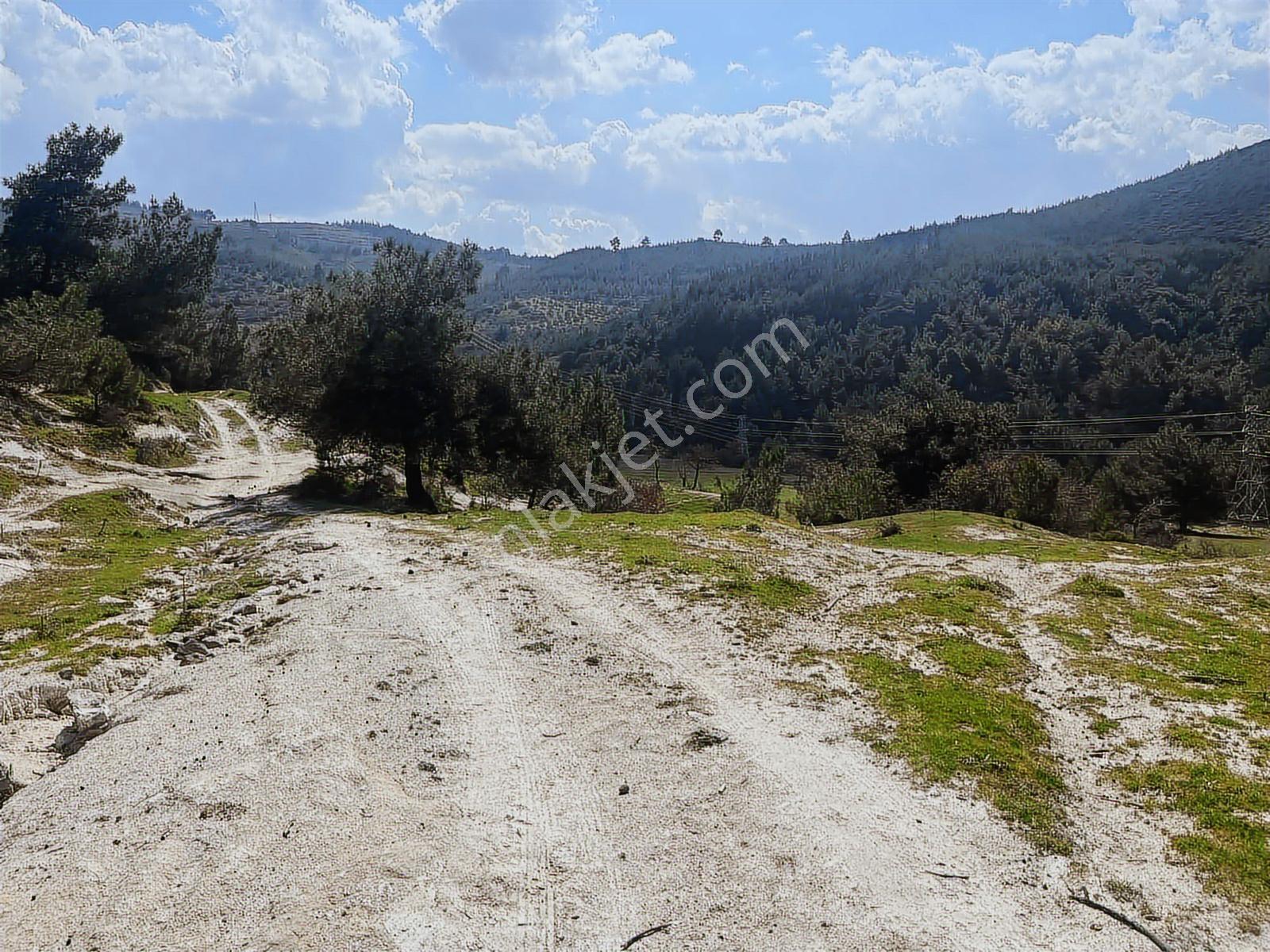 294 Mt.köy Taş Evi.tadilat İstiyor. Tek Tapu.su,elkt,yol - Görsel 21